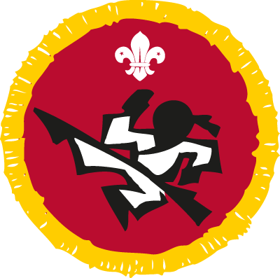 Martial Arts Activity Badge